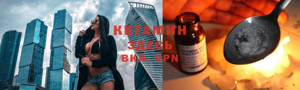прущие грибы Приозерск