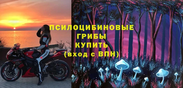 mdpv Пролетарск