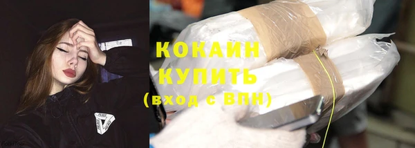 прущие грибы Приозерск