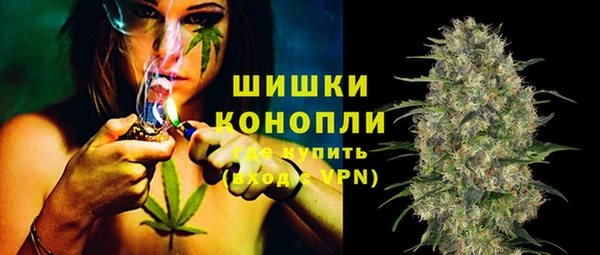прущие грибы Приозерск