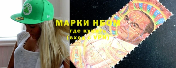 прущие грибы Приозерск