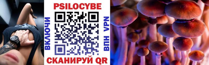 Псилоцибиновые грибы GOLDEN TEACHER  Сергач 